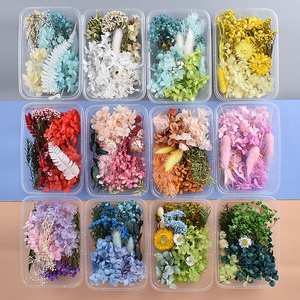 Flores Secas y Preservadas para Manualidades, Caja de Materiales de Flores Eternas de Colores Mixtos Aleatorios, Decoración DIY - Product Image 1