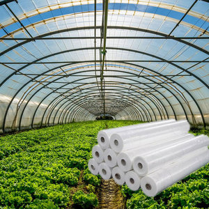 Invernadero agrícola de tamaño pequeño Protección UV Película plástica de PE de 200 micras Estructura de acero estable Fabricación de una sola capa - Product Image 1