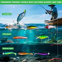 Kit de leurres de pêche en plastique pour le bar - Nouveauté 2026 - Comprend une boîte à pêche, des leurres, des swimbaits, des minnows, des leurres souples, des hameçons et des poids
