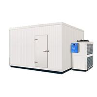 Koelcelmachine voor aardappelen en groentenopslag, Emerson Copeland compressor pomp, geluidsdichte panelen, roestvrij staal, op maat gemaakt