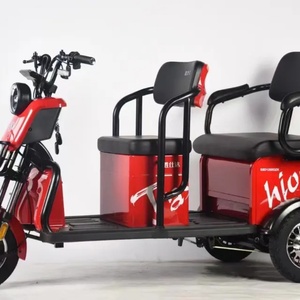 Tricycle électrique familial 800W, scooter de mobilité à carrosserie ouverte, transport à trois roues pour usage familial - Product Image 2