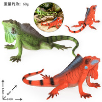 yxs Jouet modèle de lézard reptile à sang froid, simulation réaliste, transfrontalier, Iguane américain, cadeau éducatif pour enfants