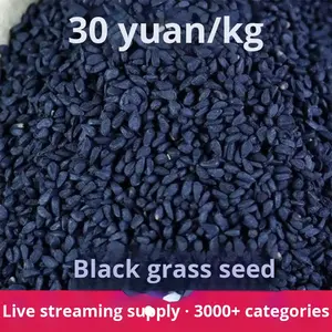 Оптовая продажа, Прямая поставка, семена черного семени, необработанный сушеный стиль с процессом сушки Ad - Product Image 6