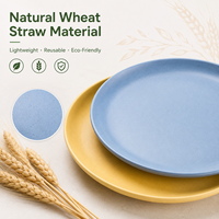 Ensemble d'assiettes écologiques en paille de blé, assiettes à dîner incassables, biodégradables, sans BPA, compatibles micro-ondes, vaisselle pour enfants et adultes