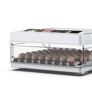 15 Eggs Capacity Automatic Egg Incubator Small Hatcher for Chicken - Product Image 4