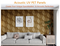 Panel Akustik PET Felt Modern Ringan NRC 0.8 Mudah Dipasang, Papan Dinding Dekoratif Peredam Suara untuk Hotel, Gym, Spa, dan Ruang Tamu