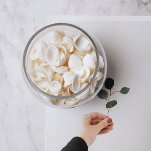 Coquillages naturels blancs de 2 à 3 cm pour cadre photo Décoration de mode pour bricolage Coquillages avec ou sans trous - Product Image 4