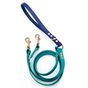 New Design Two PVC Ribbon Strap Waterproof Durable PVC Dog Leash For Two Dog Walking Training