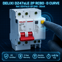 DELIXI Double Pole 40A D Curve AC Type RCBO 2P 230V 6kA 30mA Earth Leakage PA66/Tembaga 10000 Siklus 35mm DIN Rail Mount