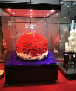 ZHONGYI Minéraux <span class=keywords><strong>Pierres</strong></span> Précieuses <span class=keywords><strong>Vitrine</strong></span> Apophyllite Minéraux <span class=keywords><strong>Pierres</strong></span> Naturelles <span class=keywords><strong>Vitrine</strong></span> En Cristal pour Artisanat Reiki Roches - Product Image 6