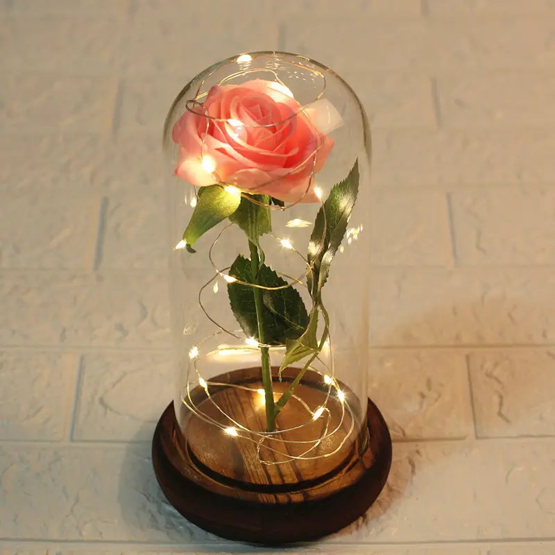 Лучший подарок на День Св. Валентина, цветка, сохраненная Роза в стеклянном куполе