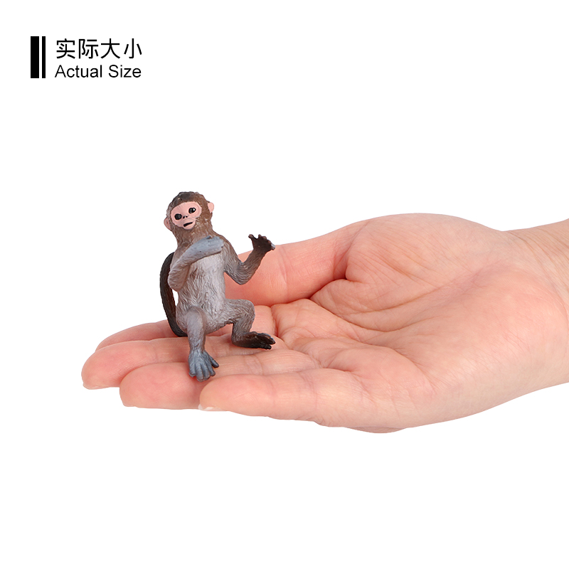 3671 Scimmia macaco