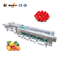 1-2 T/h Hoge Efficiëntie Sorteermachine Bosbessen/Bosbessen Aardbei Sorteermachine/Uien Sorteermachine