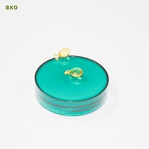 Extrait d'herbe Bodybuilding Omega 3 6 9 Softgel Capsules en vrac d'huile de poisson de mer profonde 1000mg - Product Image 1