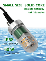 Lampes LED vertes pour attirer les poissons, 12 pouces, 12 heures de lumière verte, lampes de pêche nocturne sous-marines 12V, fourniture d'usine