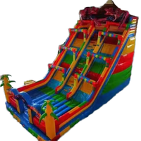 Toboggan Commercial Amusant Gonflable en PVC Sec et Aquatique pour Jardin & Parc pour Location de Fêtes et Parcs d'Attractions