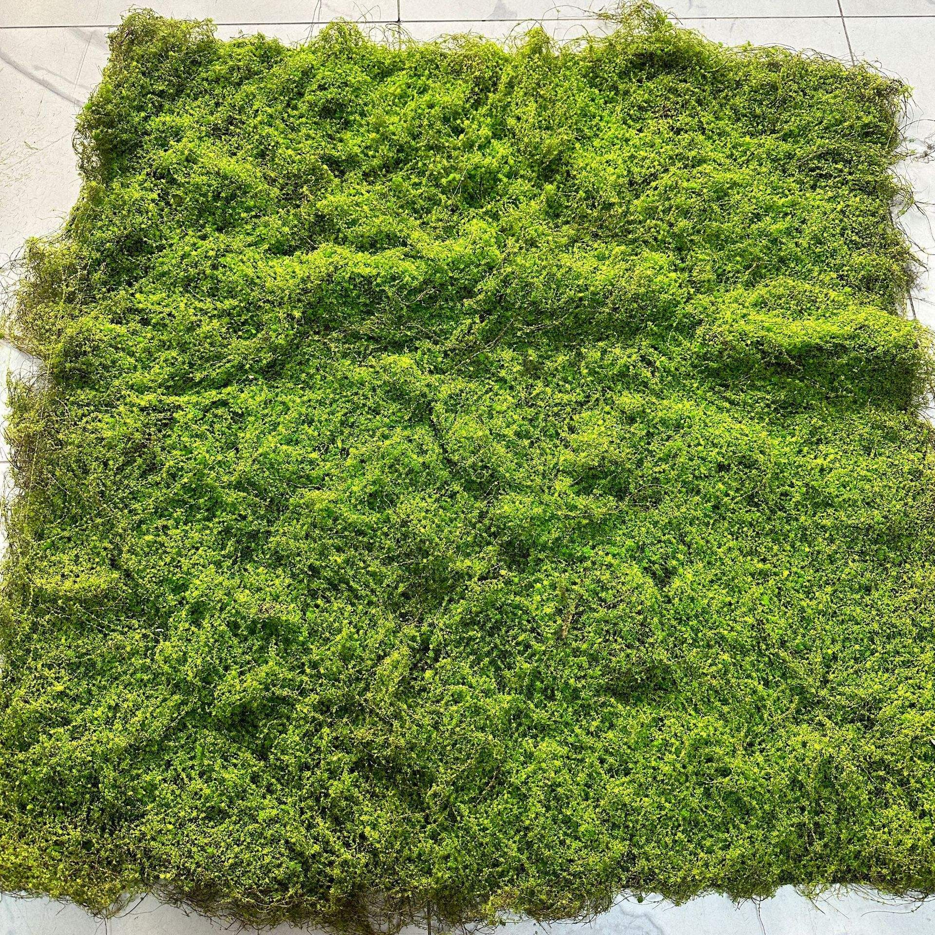 ใหม่สนามหญ้าใยมะพร้าวมอส1m * 1M