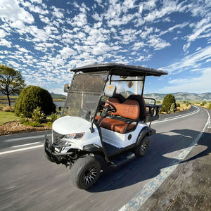 Carrito de Golf Elevado de 2 Plazas BETETEK con Faros LED para Uso Comunitario y en Parques para Carreteras No Públicas - Product Image 1