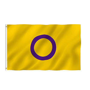 Drapeaux LGBT Aroace Pride Aromantic Asexual 3x5 pieds en polyester avec œillets en laiton - Product Image 4