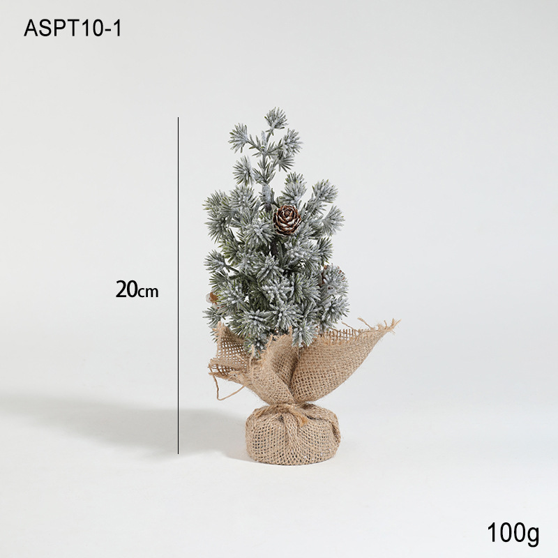 ASPT10-1