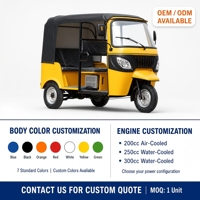 Tricycle Électrique Tout-Terrain Neuf pour le Tourisme en Zone Scénique en Inde