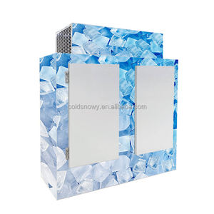Congelador de almacenamiento de hielo más vendido/contenedor refrigerado de hielo contenedor de almacenamiento de hielo merchandiser nevera al <span class=keywords><strong>aire</strong></span> libre - Product Image 1