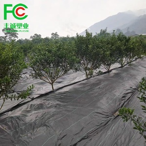 Landbouwplant Beschermer Onkruidmat Gebruikt Bij Drakenfruitboomgaarden Voor Bomen - Product Image 6