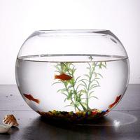 Aquarium en verre transparent pour les poissons, bol de poissons mural ou de bureau, prix d'usine, vente en gros