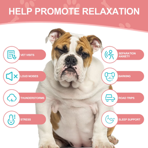 อาหารเสริมเคี้ยวนุ่มผ่อนคลายจากธรรมชาติสำหรับสุนัขและแมวการทานให้สงบ-ลดความวิตกกังวลบรรเทาความเครียดและรองรับการนอนหลับ-90เม็ด - Product Image 5