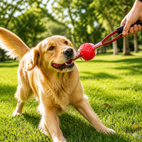 Balle interactive pour chien sur corde, rotative à 360 degrés, résistante aux morsures, en caoutchouc texturé, pour chiens et chats, jeu de rapport