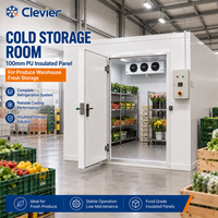 Chambre Froide avec Panneaux Isolants PU 100mm, Système de Réfrigération Complet, Stockage Isolé pour Entrepôt de Produits