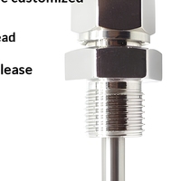 Termokopel Lapis Baja Tipe K WRNK/WZPK-131/231 Sensor Suhu Tahan Suhu Tinggi Terpasang Resistor Termal PT100