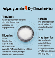 Polyacrylamide Cationique PAM pour la Déshydratation des Boues des Eaux Usées de la Transformation Alimentaire