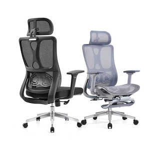 Ergonomic Mesh Office Chair 75cm Backrest Height Adjustable Swivel With 4D Armrests For Long Term Sitting - Product Image 1