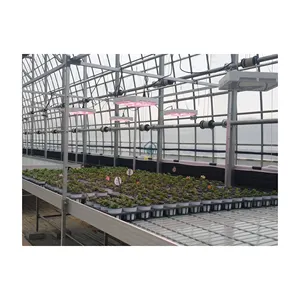 Ebb And Flow Table Horticultural Green House For Vertical Farming Economical Rolling Bench Movable Seedling System Plant Tray