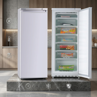 Congélateur vertical commercial pour aliments surgelés, 182 L, porte simple, 7 tiroirs, dégivrage manuel, refroidissement R134a R600a