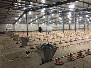 Tùy chỉnh kích thước núm vú uống dòng cho gia cầm trang trại gia cầm đổ chăn nuôi trang trại Gà nhà gà Xúc Xích ăn Pan hệ thống - Product Image 3