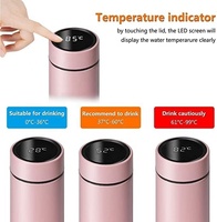 Bouteilles sous vide à Led intelligentes écologiques personnalisées, Thermos, tasse, bouteille d'eau avec infuseur à thé