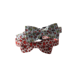 Amigo Nuevos productos para mascotas Serie de verano Collar para mascotas Coco y sandía hebilla de plástico bowknot collar de perro - Product Image 4