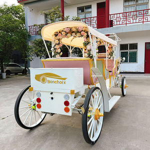 Chariot de tourisme à chevaux pour visites urbaines, faible MOQ, vente en gros - Product Image 5