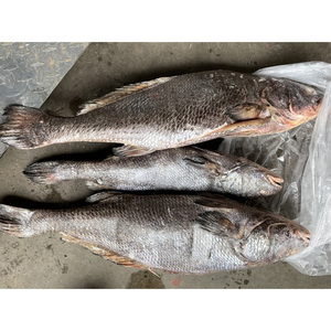Poisson Croaker brun élevé en eau douce en vrac, 3+ kg, poisson surgelé IQF, croaker brun éviscéré - Product Image 5