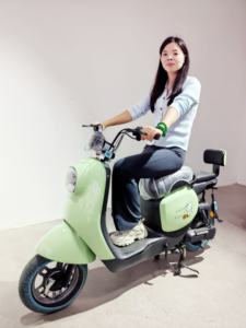 Bicicleta Eléctrica Económica de <span class=keywords><strong>2</strong></span> Ruedas, Nueva, 500W, 48V, 20AH, con Pedales, Cuadro de Acero, Motor sin Escobillas, <span class=keywords><strong>3</strong></span> Velocidades, Batería de Plomo-Ácido, Asistencia al Pedaleo - Product Image 3