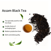 Sachets de thé Oolong personnalisés 500g pour les boutiques de Bubble Tea et de Milk Tea - Marque YUN QI