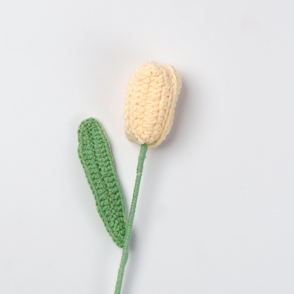 Tulipe-champagne finie