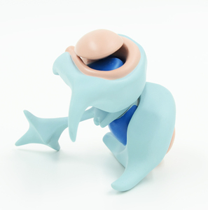 GelsonLab HSBM-472 Mới Bộ Não Con Người Cơ Bản Hạt Nhân Mô Hình - Product Image 4