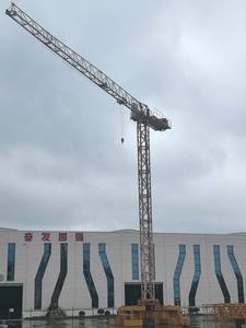 Grúa Torre Pequeña China con Altura Máxima de Elevación de 10m en Venta - Product Image 6