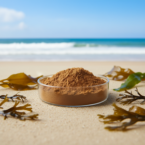Polvo de Algas Marinas Marrones, Extracto de Algas Laminaria Deshidratadas Solubles en Agua, al por Mayor - Product Image 2