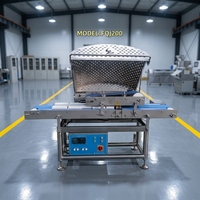 Nouvelle machine électrique commerciale en acier inoxydable pour couper la viande fraîche (bœuf, poulet, saumon, porc, poisson) avec épaisseur réglable