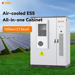 CEEG Grade A Energy Storage Container 50kw 100kw 100kwh 200kwh 215kwh 1mwh Battery Cabinet For Energy Storage System