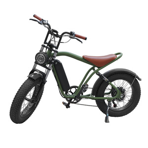 Vélo électrique Jyop-zs 20 pouces pour adultes, moteur central sans balais 500W, 8 vitesses, batterie lithium 48V 15Ah, autonomie 60km, cadre carbone - Product Image 1